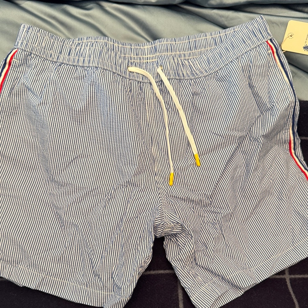 Hartford Blue and White Pinstripe Swim Trunks
